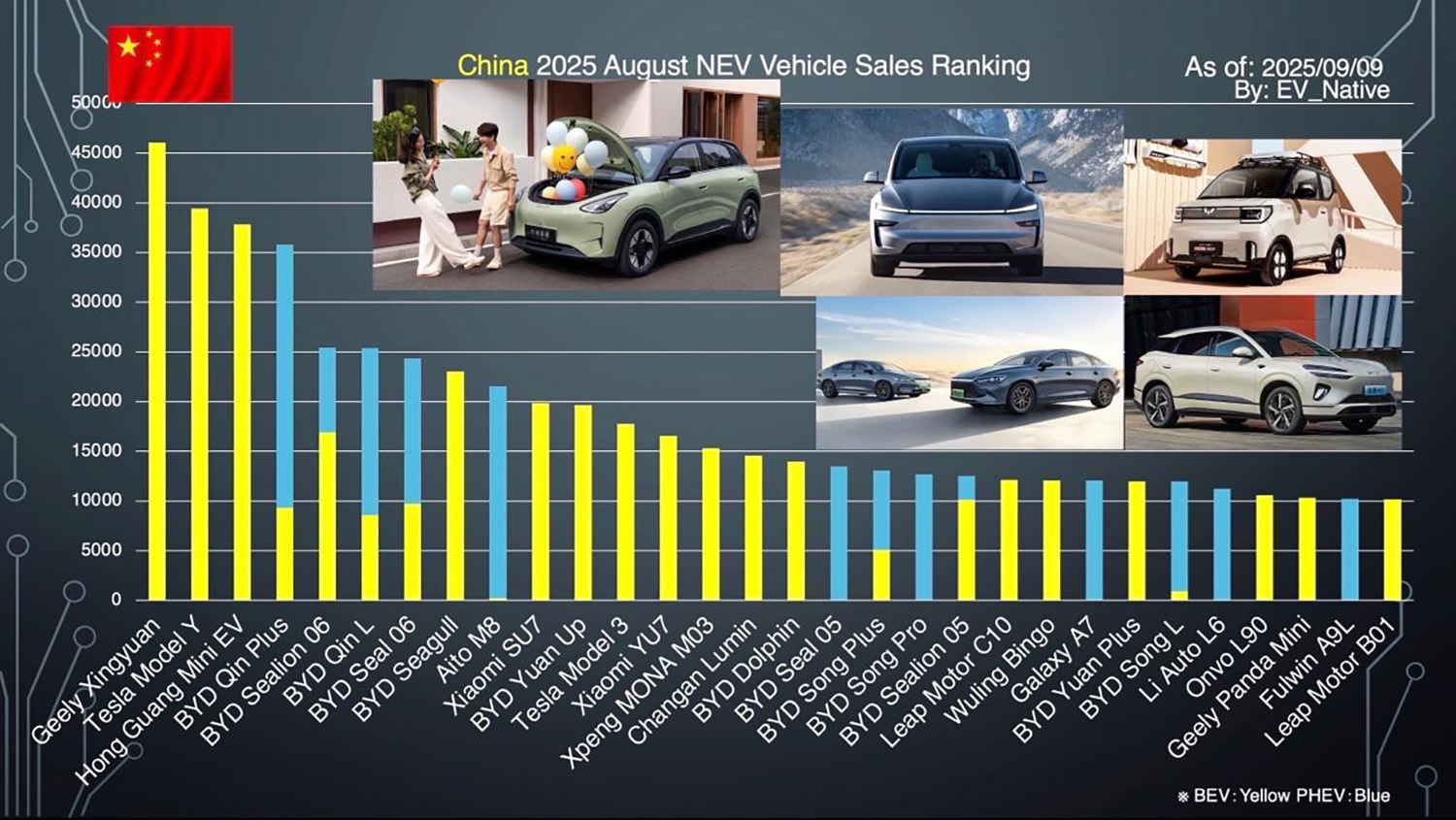 新エネルギー車に絞った販売ランキングトップ30
