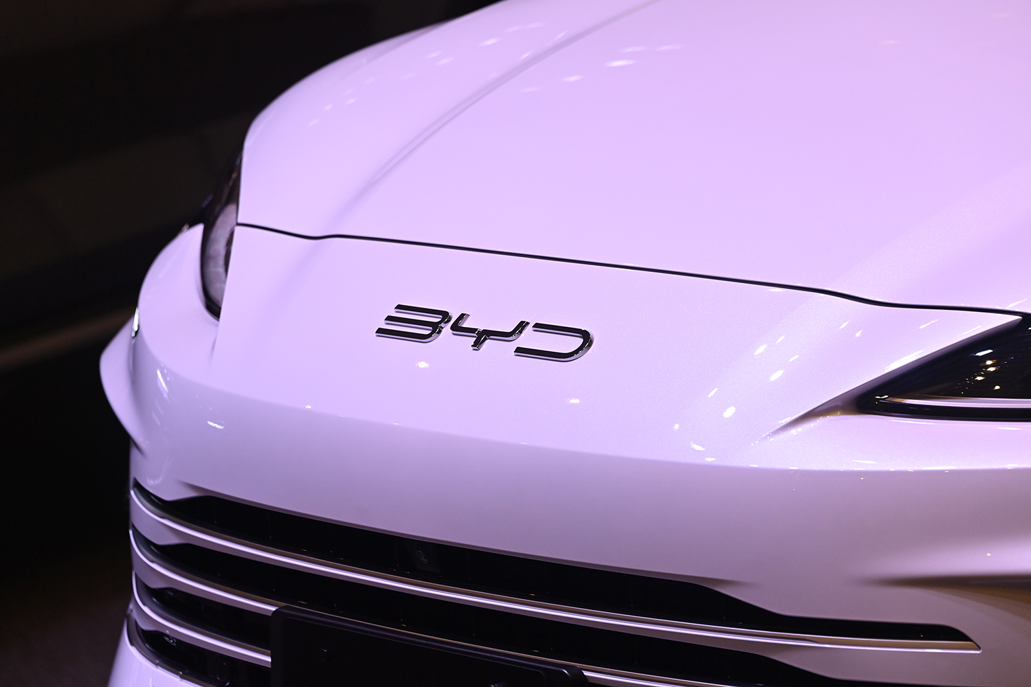 BYD シーライオン6のエンブレム