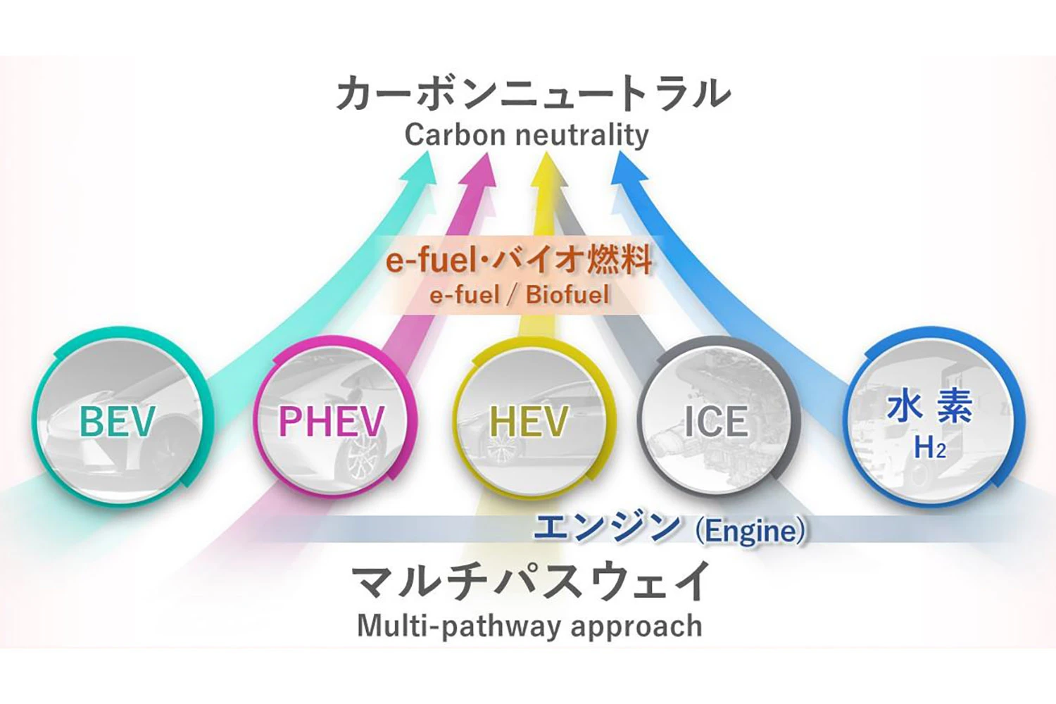 マルチパスウェイのイメージ